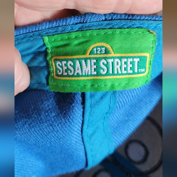 COOKIE MONSTER Sesame Street OFFICIAL BRAND NAME MERCH Fitted Baseball Style Hat - Picture 3 of 5